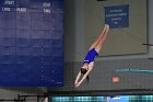 Women's Diving  Wheaton College Women’s Diving vs Mount Holyoke College. - Photo by Keith Nordstrom : Wheaton, Swimming & Diving